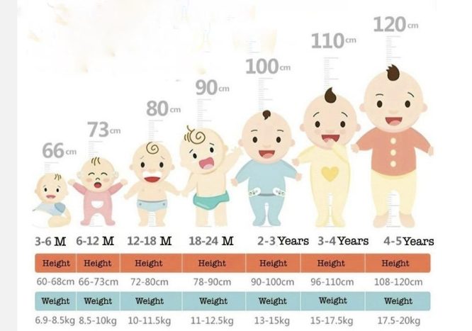 Boys Giraffe Print 2 pcs Set - Image 12